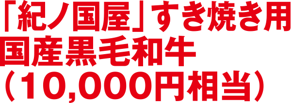 紀ノ国屋 すき焼き用国産黒毛和牛(10,000円相当)